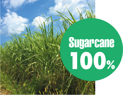 Made from sugarcane 100％