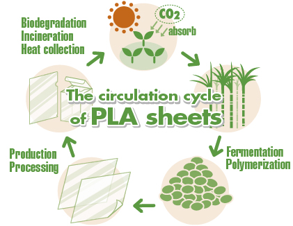 Although carbon dioxide is emitted during production of PLA sheets, sugar canes (raw materials of PLA sheets) offset the amount of CO2 by absorbing it in the process of photosynthesis.