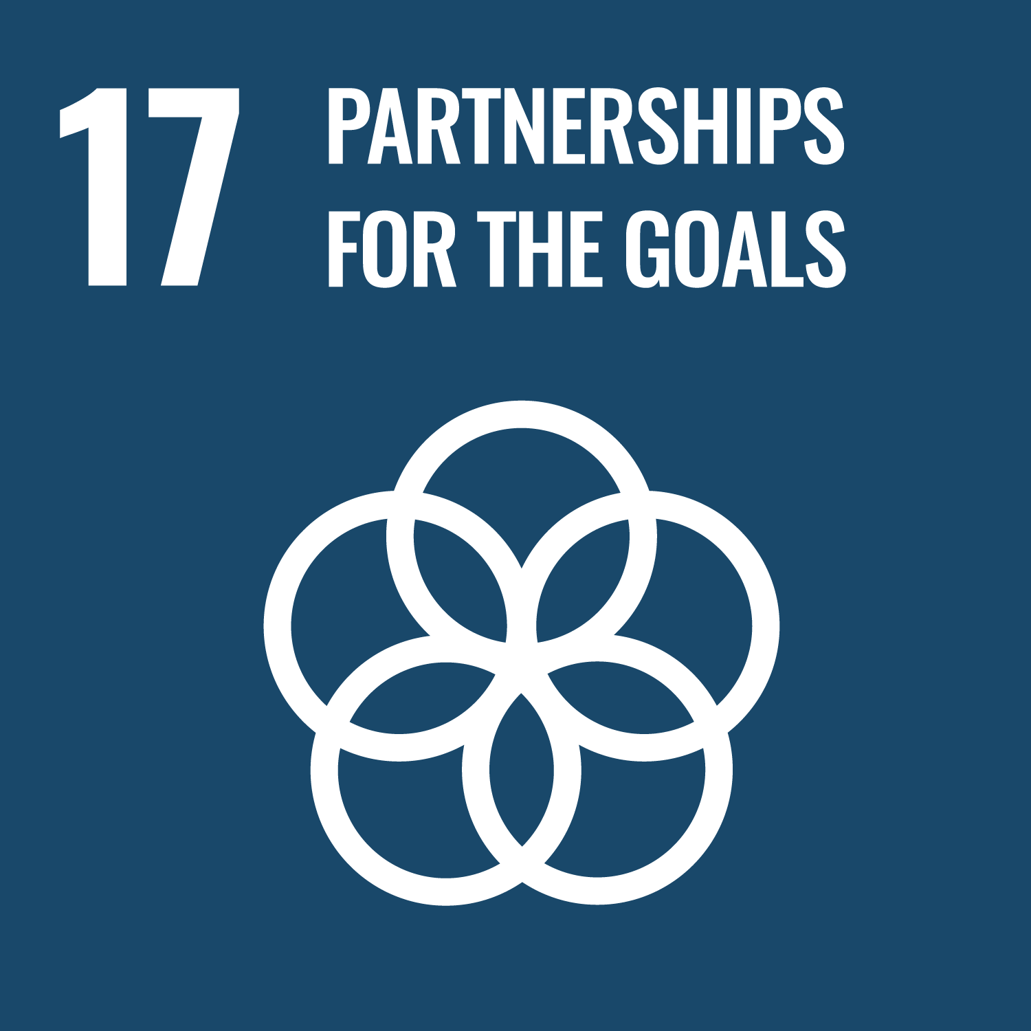 Partnerships for the goals